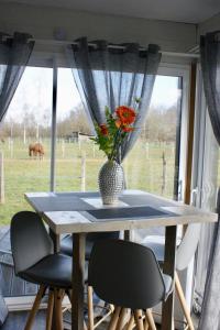 Cottage tout confort au milieu des chevaux