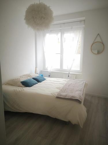 COURCYX : appartement en hyper-centre !