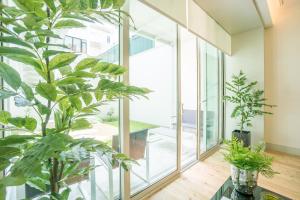 Courtyard & Elegance Apartment