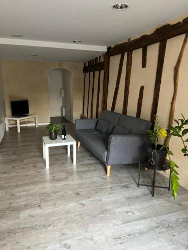 Coutras : Appartement plein centre vue rivière