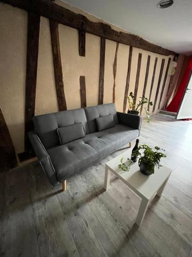 Coutras : Appartement plein centre vue rivière