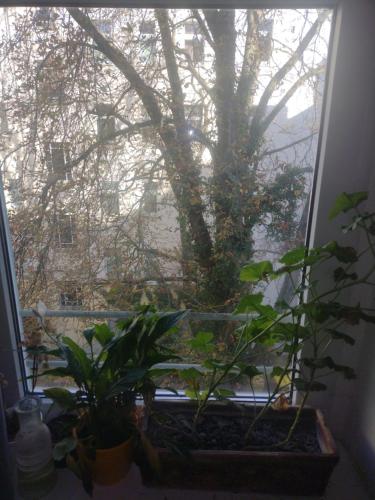 Cozy apartment close to Treptower park
