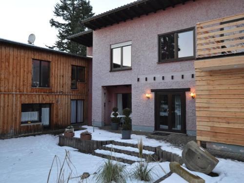 Cozy Apartment in County of Manderscheid with TV