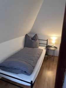 cozy Apartment in DD (Leuben)