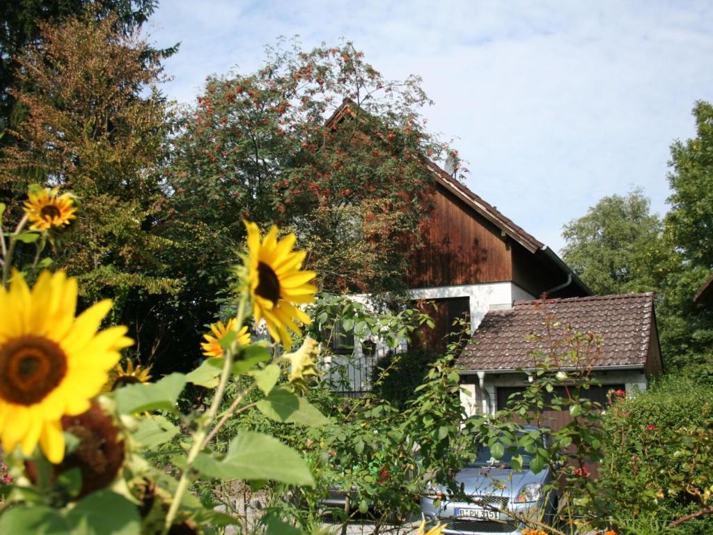 Cozy Apartment in Moos near Lake Constance , 78345 Moos