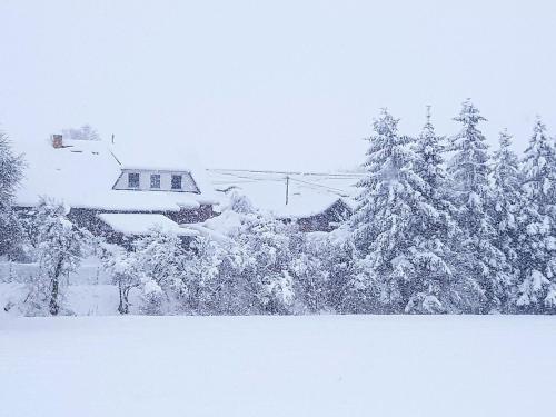Cozy Apartment in Satow Kuhlungsborn and Doberan with garden
