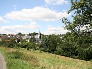 Cozy Apartment in Strotzb sch near Eifel Center