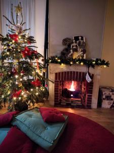 Cozy Appartement, close to City Centre and Promenade des Anglais