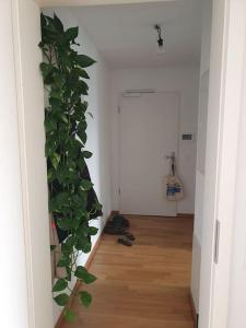 Cozy Flat in Berlin Mitte.