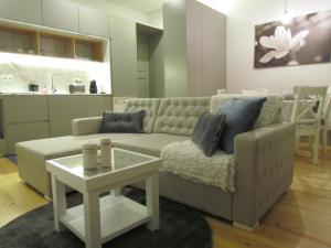 Cozy Flat Porto Downtown