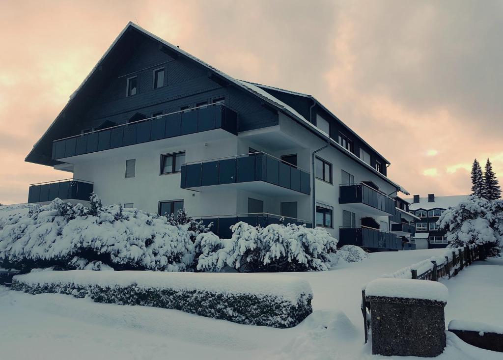 Appartement COZY FREEDOM Snow Bike Hike Enjoy 200MBit 40 Feldstraße 59955 Winterberg