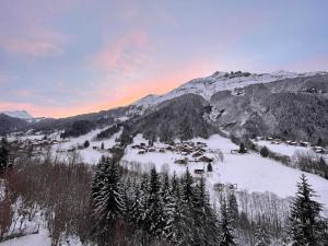 Cozy studio au centre du village & superbe vue