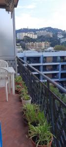 Croisette immo 1 chambre Cirodde