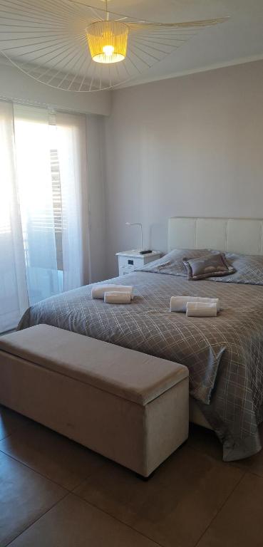 Appartement Croisette immo 1 chambre Rouaze ' Toit terrasse 18 Rue Rouaze 06400 Cannes