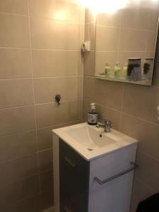 Croisette immo 1 chambre Rue Cirodde