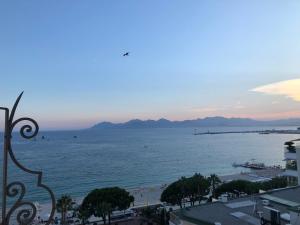 Appartement Croisette Palais Miramar - sea view 65 Boulevard de la Croisette 06400 Cannes Provence-Alpes-Côte d\'Azur