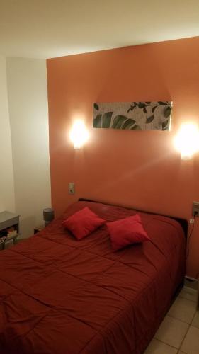 Appartement Appartement cure ou vacances avec WIFI et parking et à 100m des thermes 21 Rue Castellane Amélie-les-Bains-Palalda