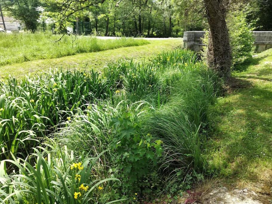 Cute 1-bed cottage with view across park. Chemin du Sabotier, 24400 Issac