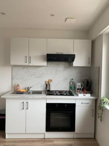 Cute apartment near Colmar