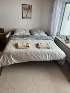 Cute condo, Mitten an der Piste, Ski in and out
