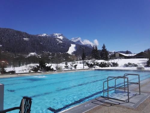 Appartement d'une chambre a Les Carroz a 400 m des pistes avec jardin amenage et wifi Les Carroz d\'Arâches france