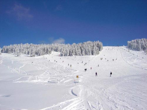 Appartement Appartement d'une chambre a Megeve a 500 m des pistes avec jardin clos 185 Route de Vauvray La Troika B Megève