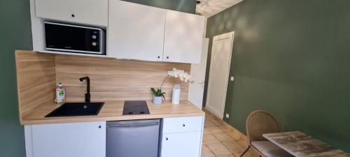 Appartement Appartement d'une chambre avec jardin clos et wifi a Saint Cyr au Mont d'Or 62 Route de Lyon Auvergne-Rhône-Alpes, Rhône Saint-Cyr-au-Mont-dʼOr