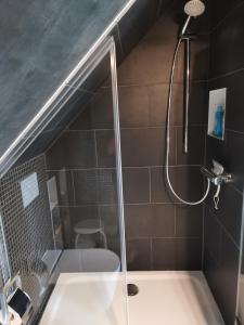 Dachstudio Herkulesblick