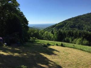 Dachstudio in Traumlage mit spektakulärem Ausblick