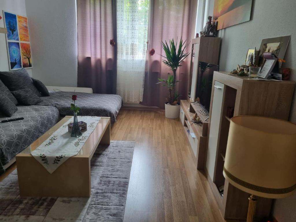 Appartement Dajti Apartament Berlin 96 Frobenstraße 12249 Berlin