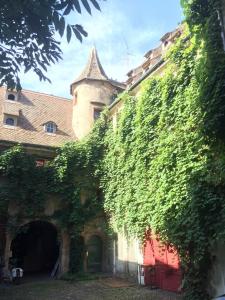Dans un hôtel particulier de 1540