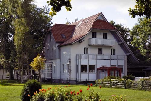 Darsskrabbe