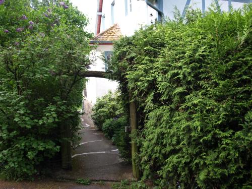 Das Alte Forsthaus