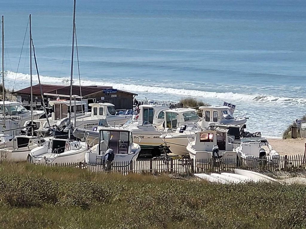Das Muschelhaus - FeWo 2 25826 Ording