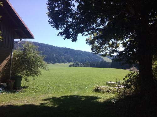das Vogelnest