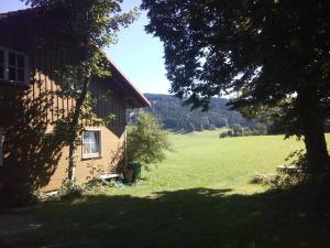 das Vogelnest