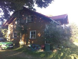 das Vogelnest