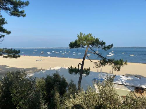 Appartement de standing 4 étoiles plage Pereire à pied 100m Arcachon france