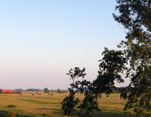 Deichraum Der (T)raum vorm Deich