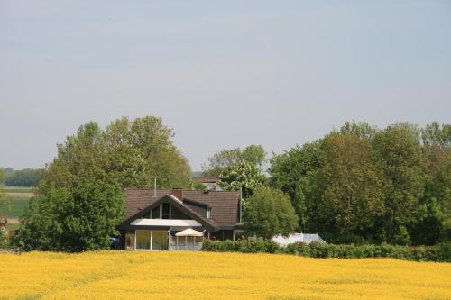 Deichwinzer