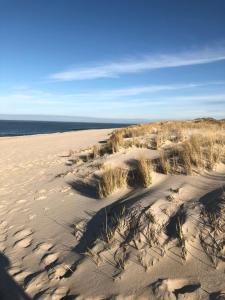 Dein Sylt