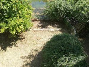 Déjeuner au bord de l'eau