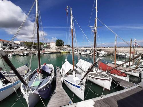 Délicieux moment de détente au coeur de Saint Martin de Ré