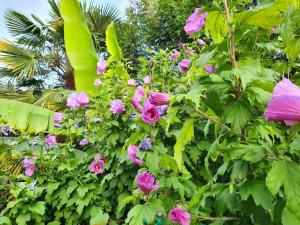 Demeure de charme paisible
