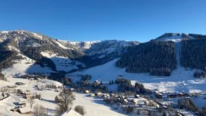 Demi Chalet Le LACHAT