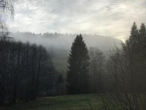 Der Schmidthof