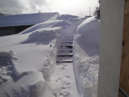 Appartement des Crêtets Megève france