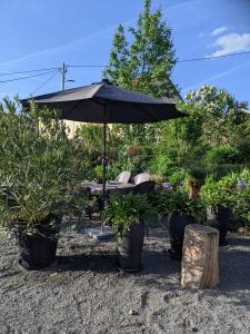 Appartement Des Wanderers Ruh Fam. Houben 68 Hauptstraße 01833 Dürrröhrsdorf Saxe