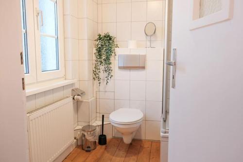 Design Altbau Wohnung im Herzen von Koblenz