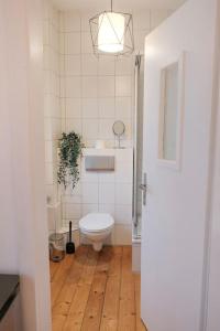 Design Altbau Wohnung im Herzen von Koblenz